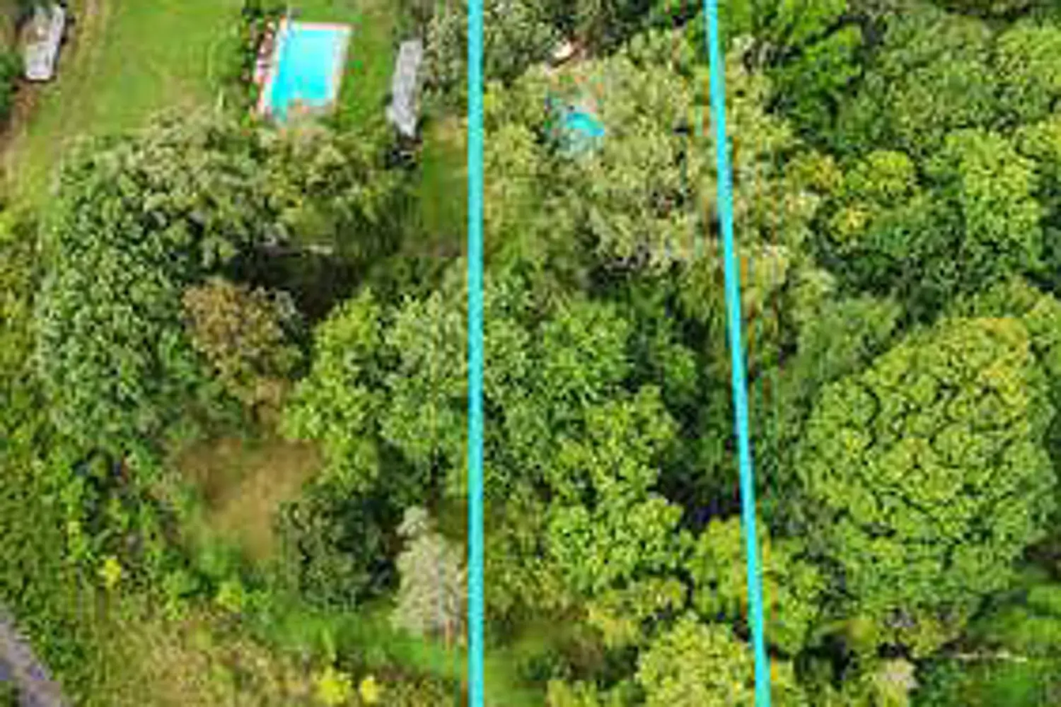 577 Wonderland Road photo 4