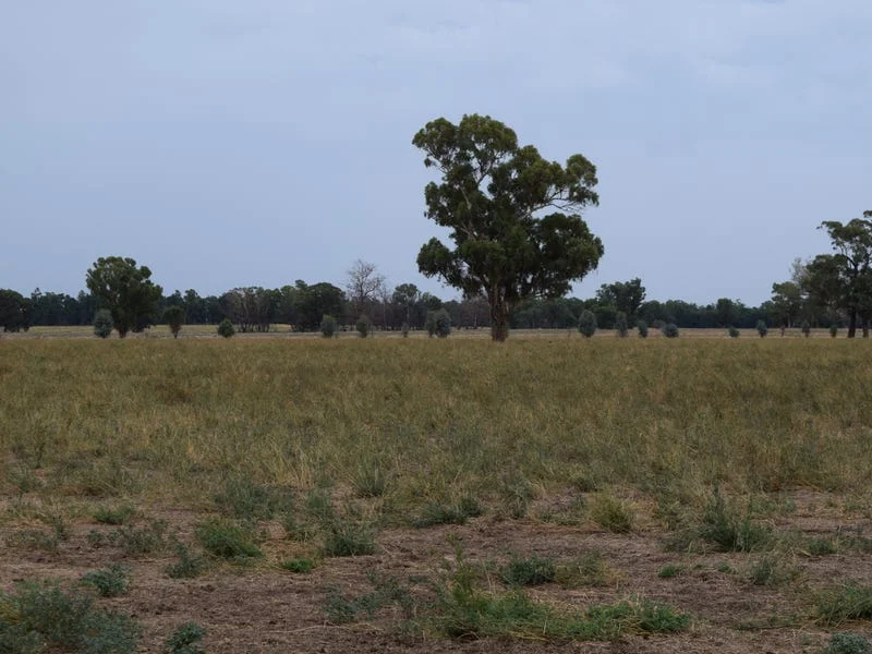 Additional image 13 of ''sloane'' Dicks Plain Road, Mulwala NSW 2647