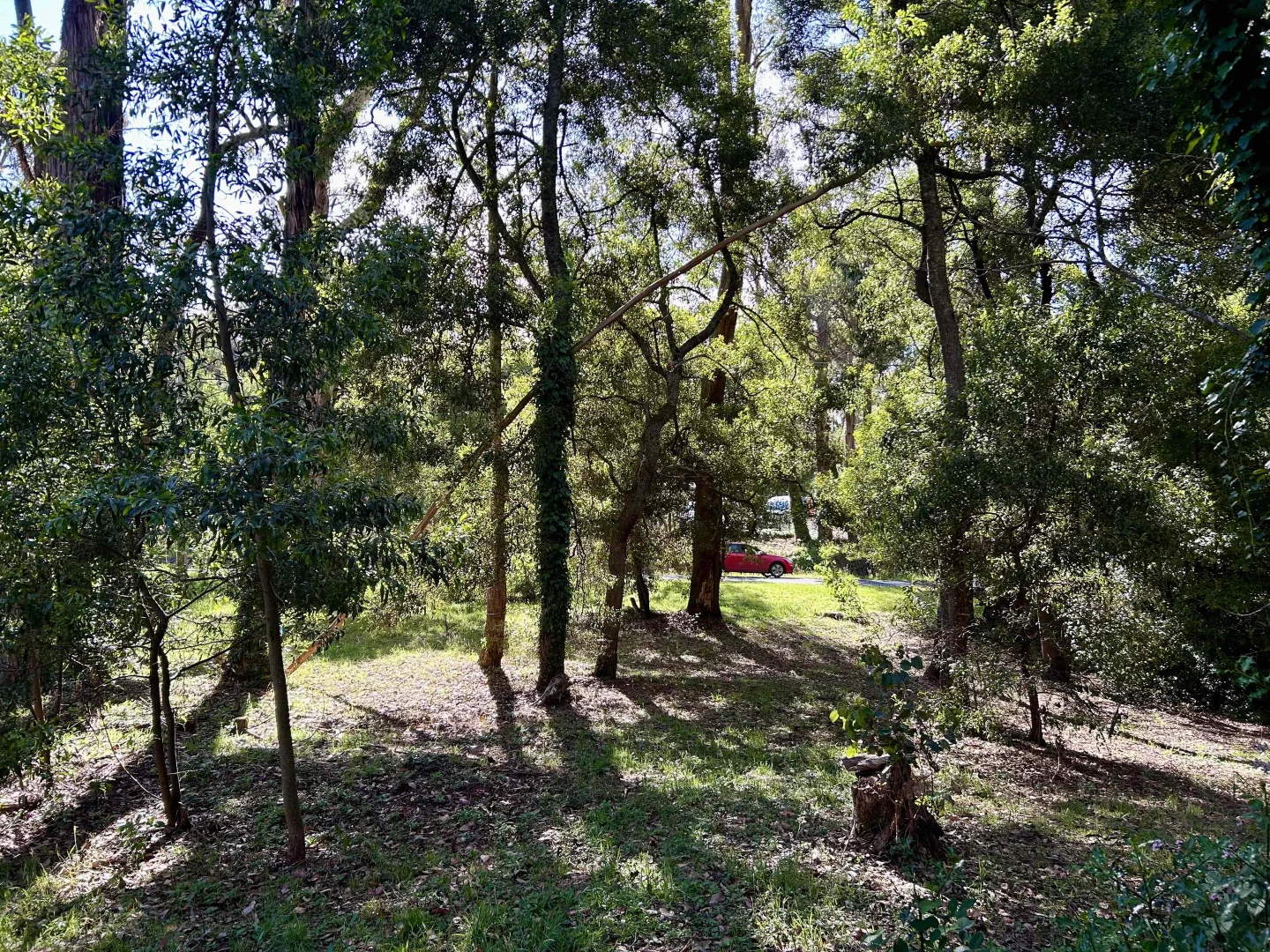 Additional image 4 of 1026 Greendale-Trentham Road, Blackwood VIC 3458