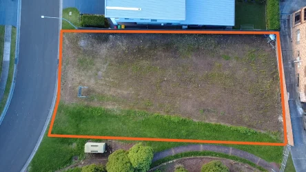 99 Whimbrel Avenue, Lake Heights NSW 2502