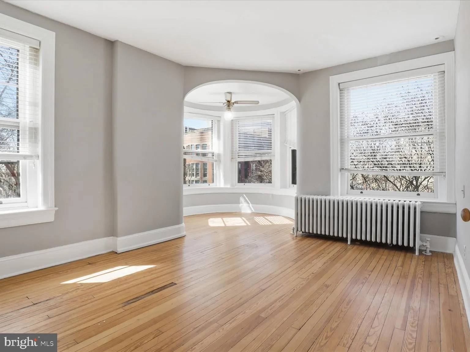 Additional image 45 of 258 8th Street SE, Washington, DC 20003