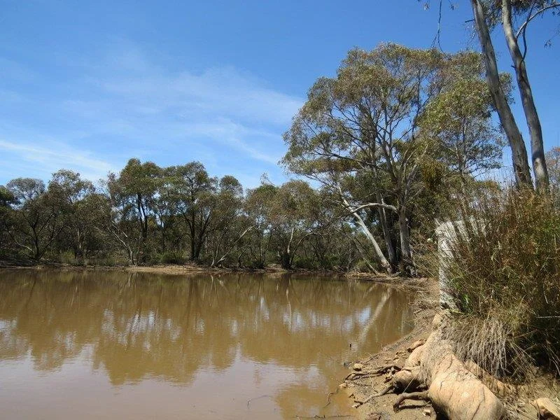 Additional image 28 of 381 Wychitella Road, Wedderburn VIC 3518