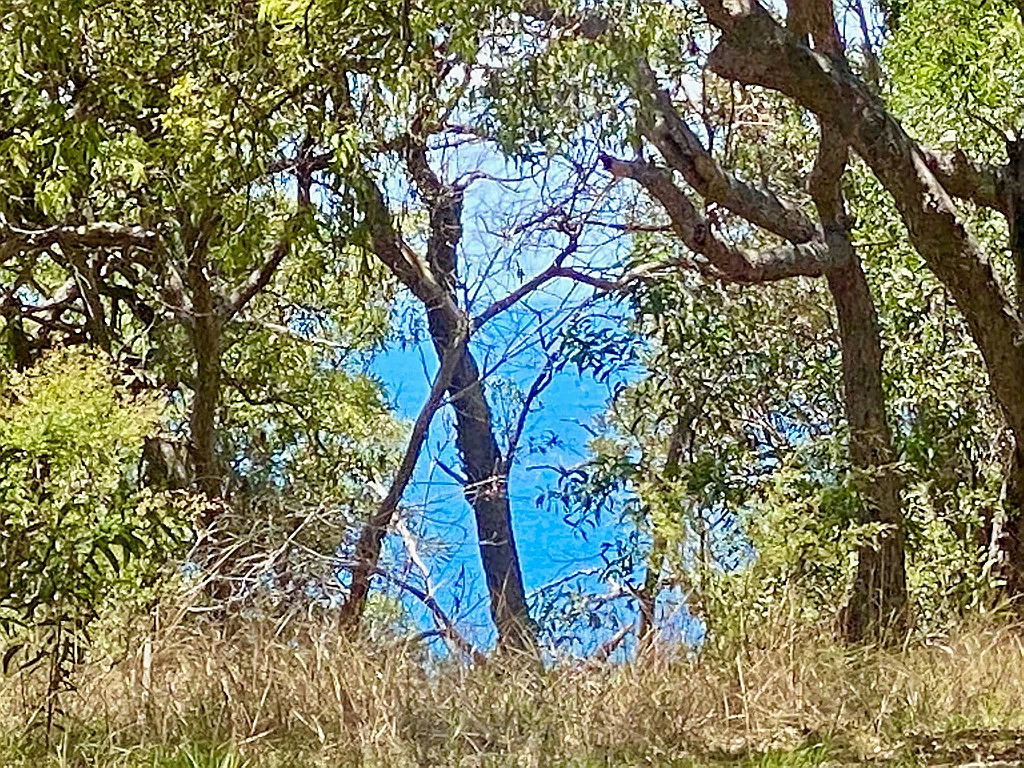 Additional image 6 of 78 Bloodwood Rd Sunrise, Agnes Water QLD 4677