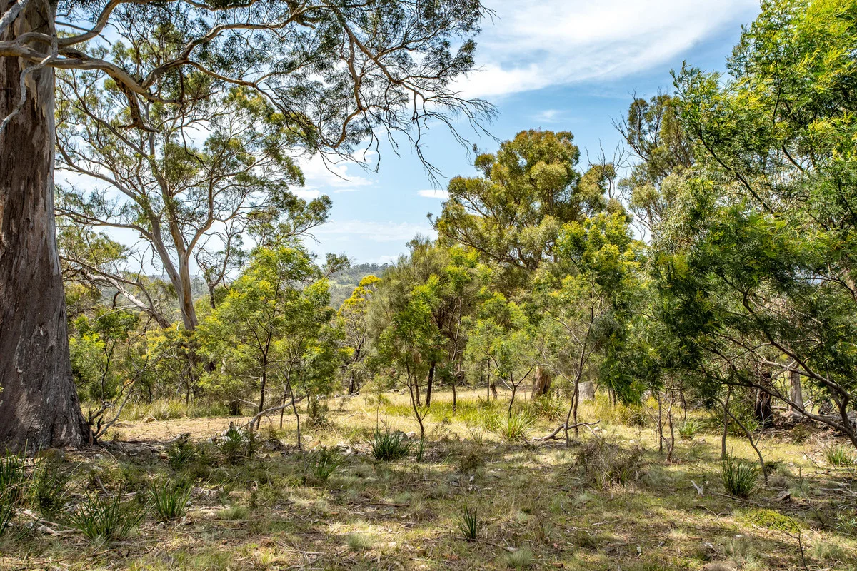 Additional image 21 of 2/10923 Tasman Highway, Little Swanport TAS 7190