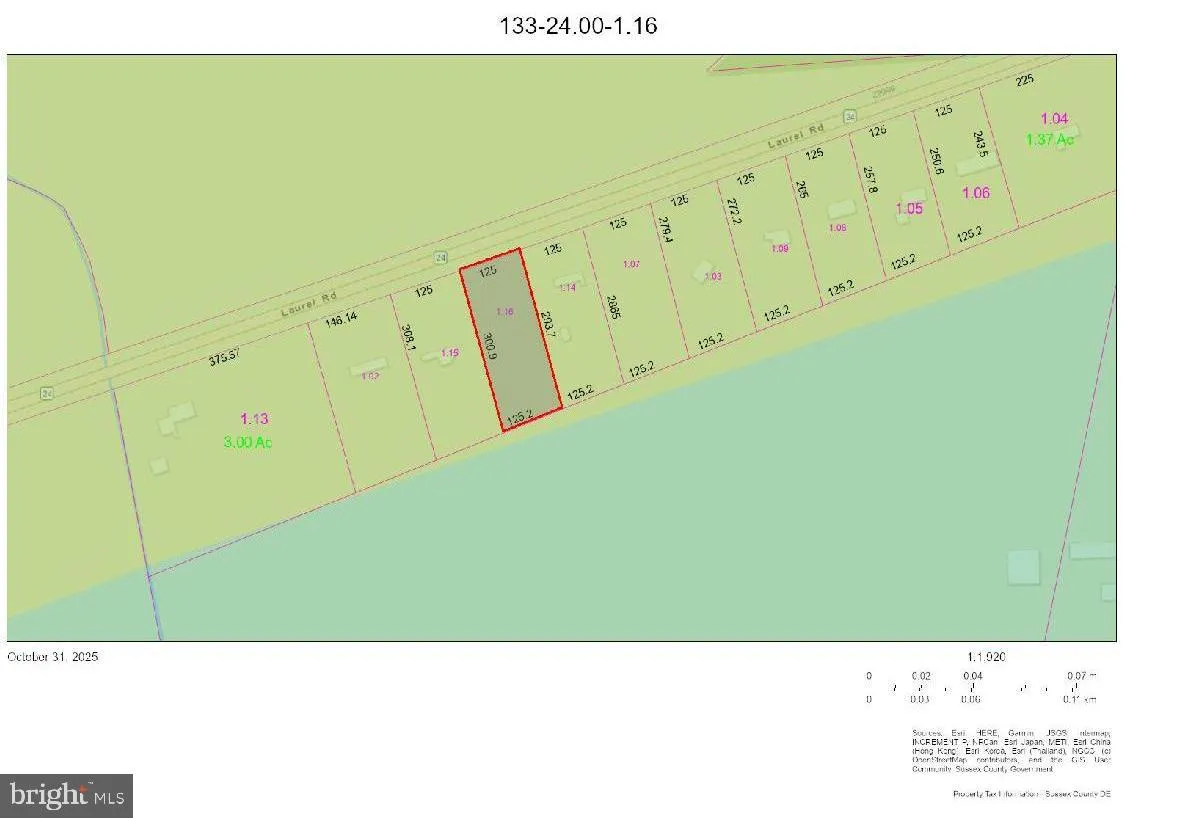 Additional image 20 of Laurel Rd, Millsboro, DE 19966