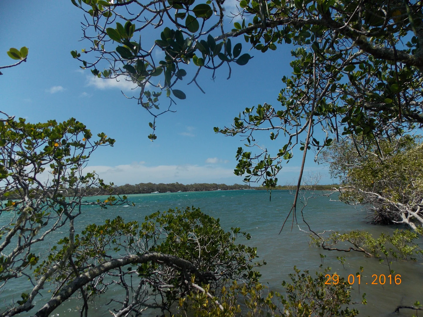 Additional image 3 of Coonarr QLD 4670