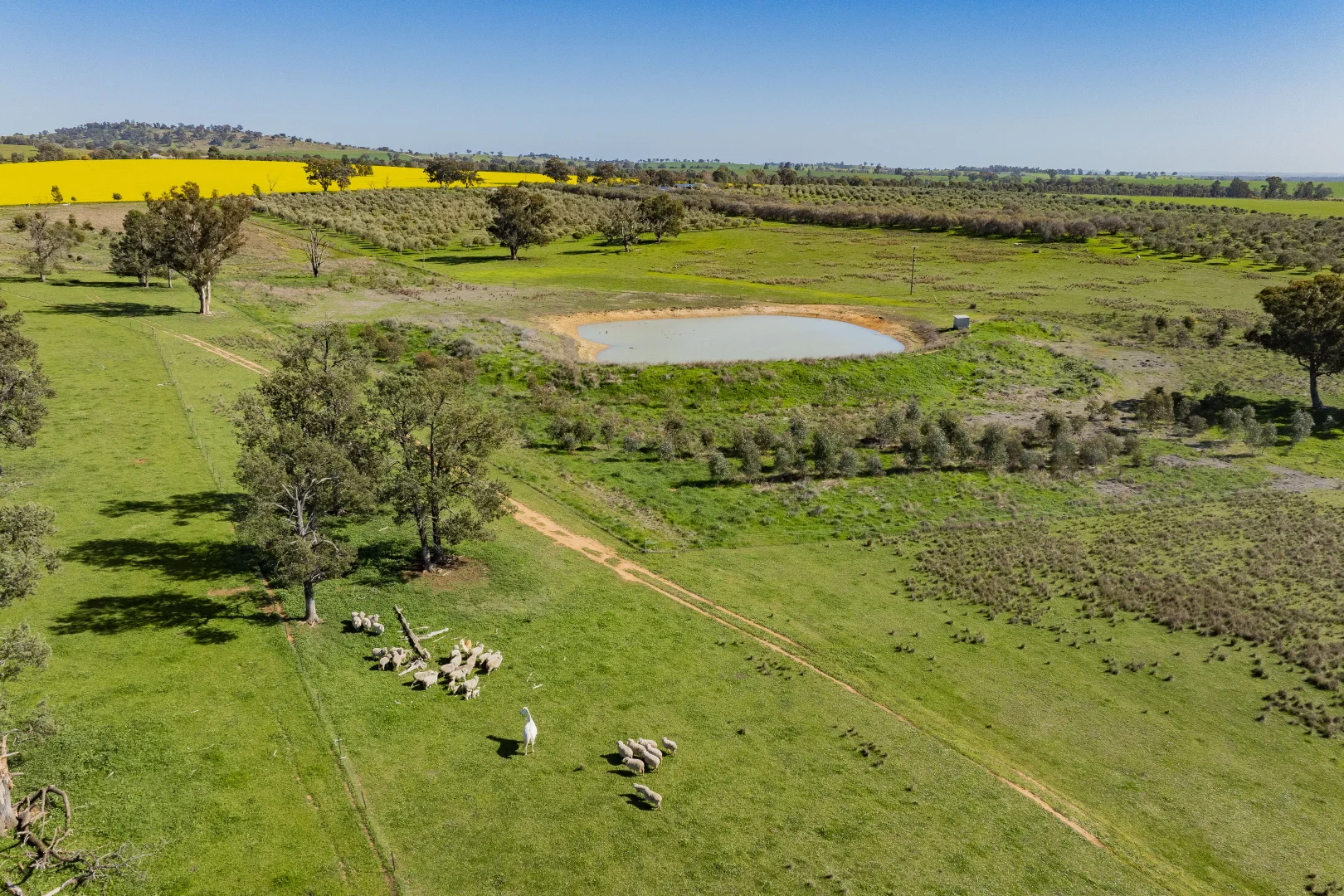 Additional image 63 of 277 Cloughs Road, Yarragundry NSW 2650