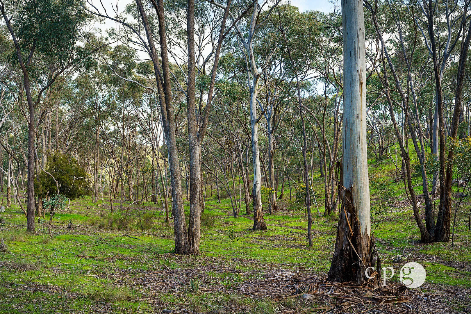 Additional image 10 of 32 Taylor Road, Yapeen VIC 3451