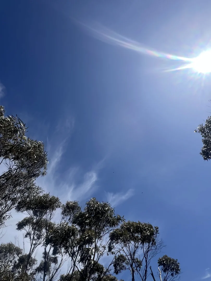 Additional image 12 of PID 6424103 Palana Road, Emita TAS 7255