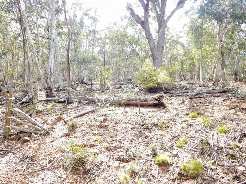 Additional image 10 of Lot 144 Anglers Reach Road, Adaminaby NSW 2629