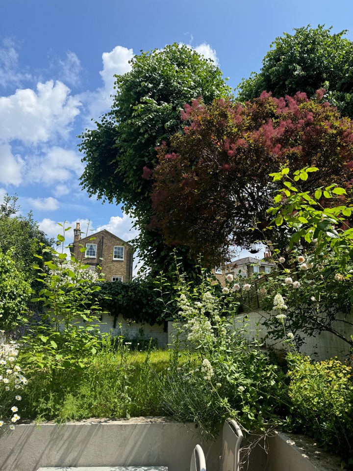 Additional image 3 of Room in a Shared House, Saint Martin's Road, SW9, N1 7GU