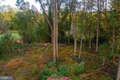 Additional image 8 of 3243 Dublin Rd, Street, MD, 21154
