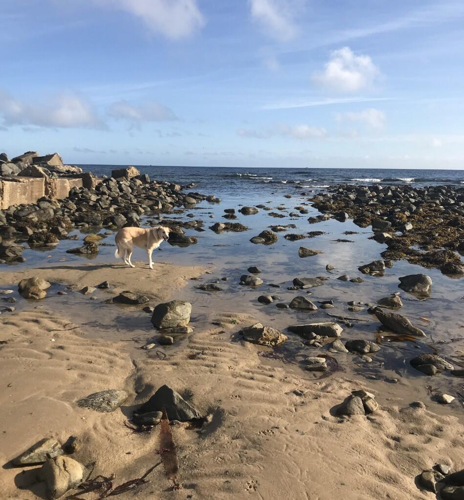 Additional image 31 of AB43