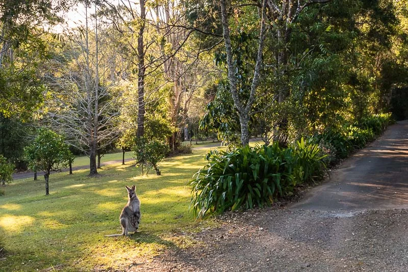 Additional image 12 of 347 Corks Pocket Road, Reesville QLD 4552