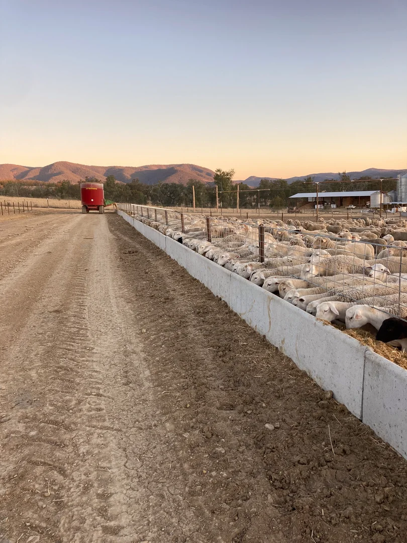 Additional image 13 of 4674 Riverton Road, Maidenhead QLD 4385