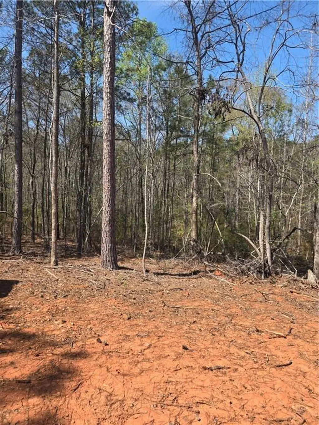 1445 Lee Road 155, Opelika, AL 36804