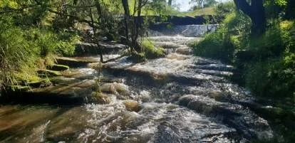 Additional image 2 of 1521 Sextonville Road, Kyogle NSW 2474