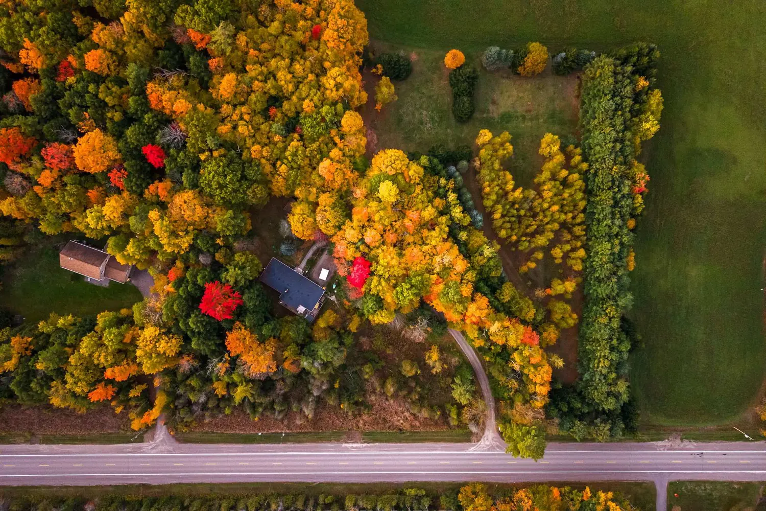 Additional image 15 of 4754 Ganaraska Road