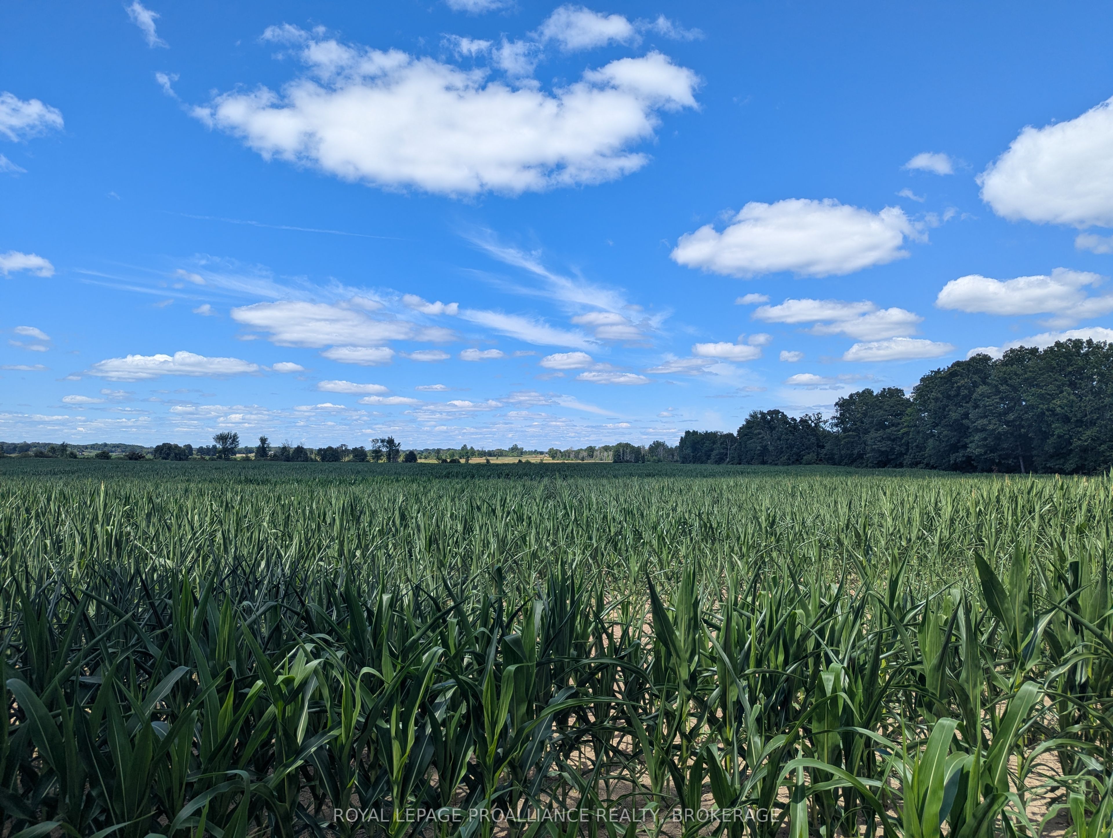 Additional image 2 of 2622 4th Concession Road, Kingston, ON, K0H 1Y0