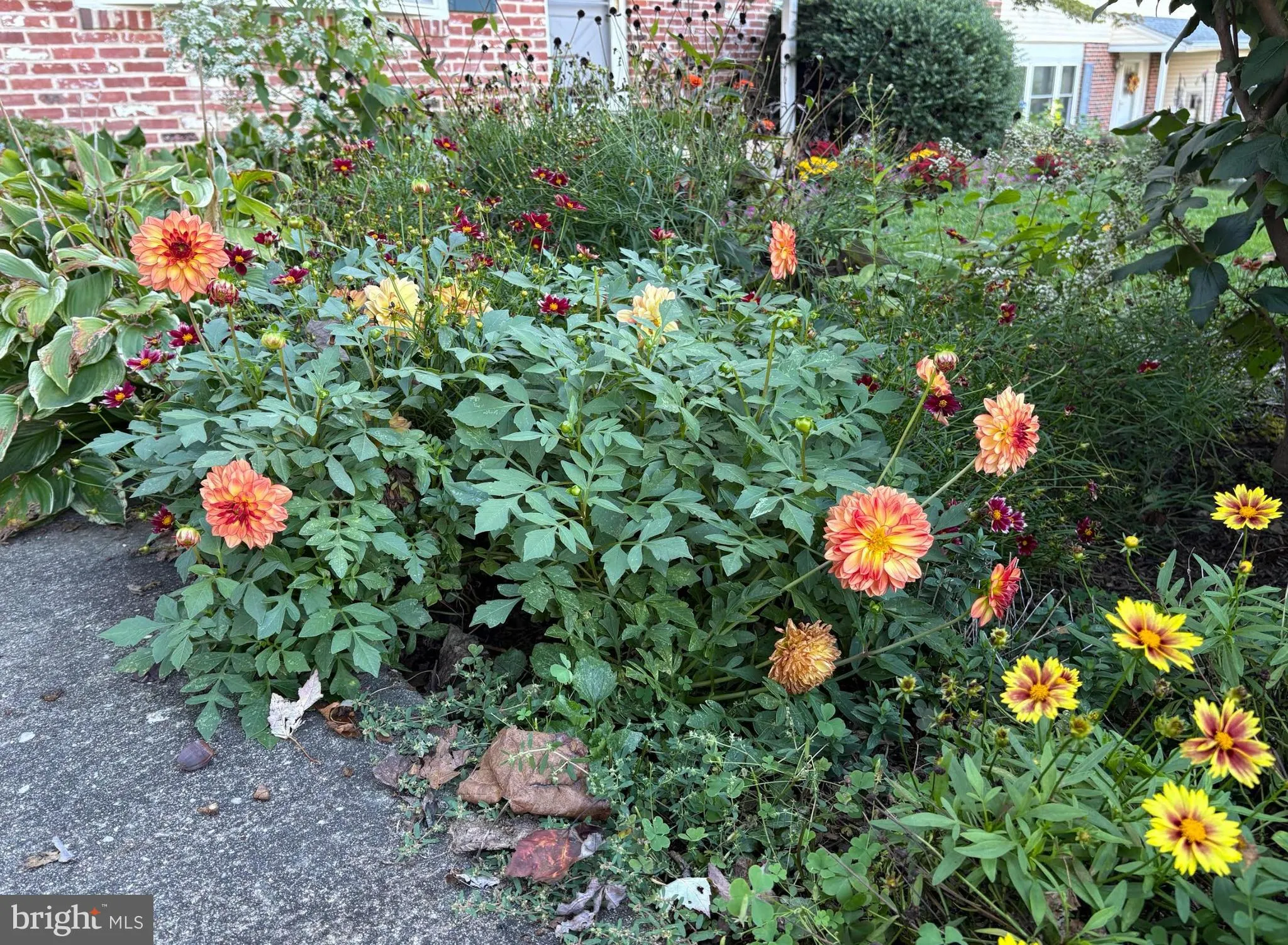 Additional image 113 of 105 Chapel Hill Drive, Newark, DE 19711