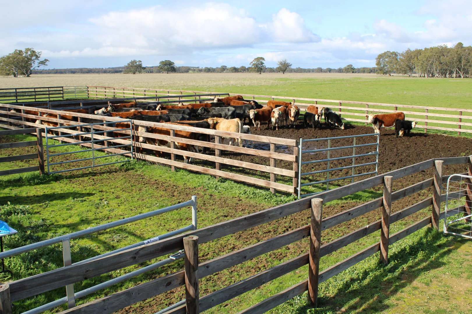 Additional image 9 of 678 Jones Road, Mundulla SA 5270