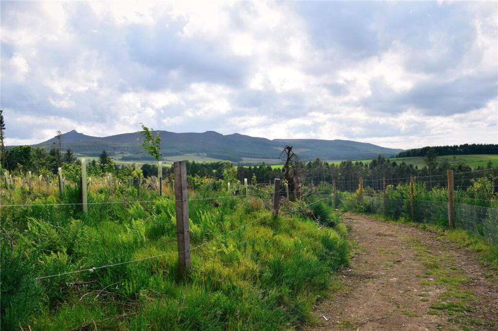 Additional image 14 of Logie Woodlands, Pitcaple, Inverurie, Aberdeenshire, AB51