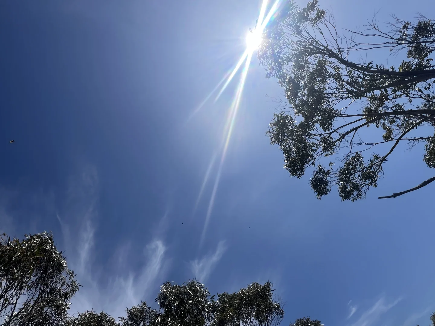 Additional image 14 of PID 6424103 Palana Road, Emita TAS 7255