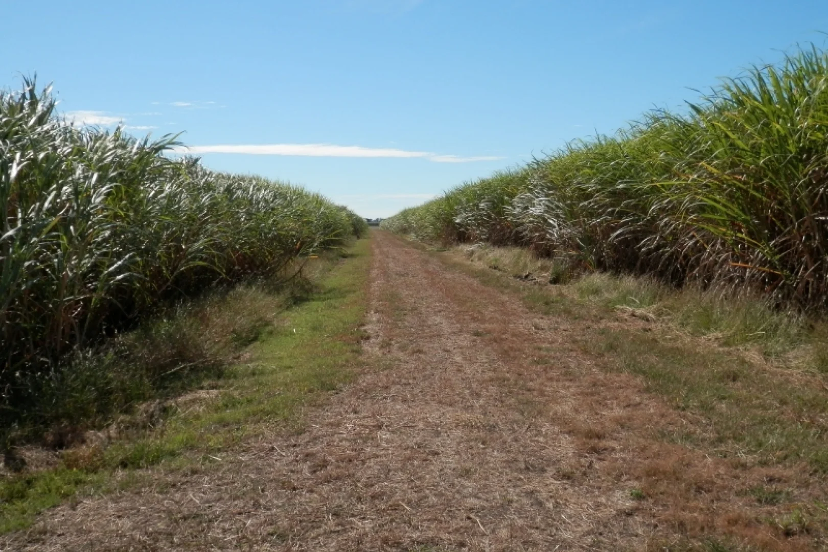 Additional image 18 of 52 Linton Road, Fredericksfield QLD 4806