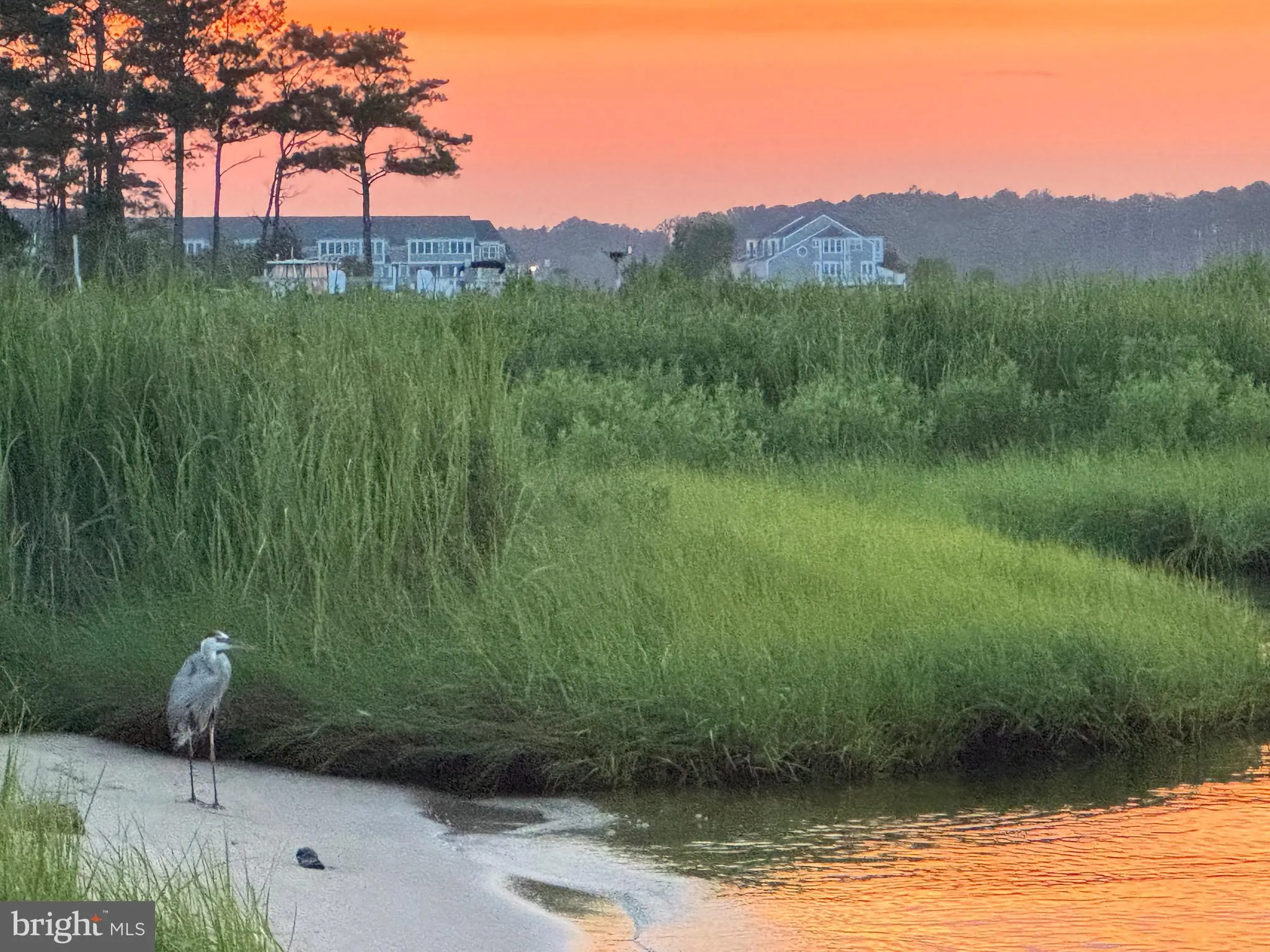 Additional image 77 of 30651 Tower Place, Selbyville, DE 19975