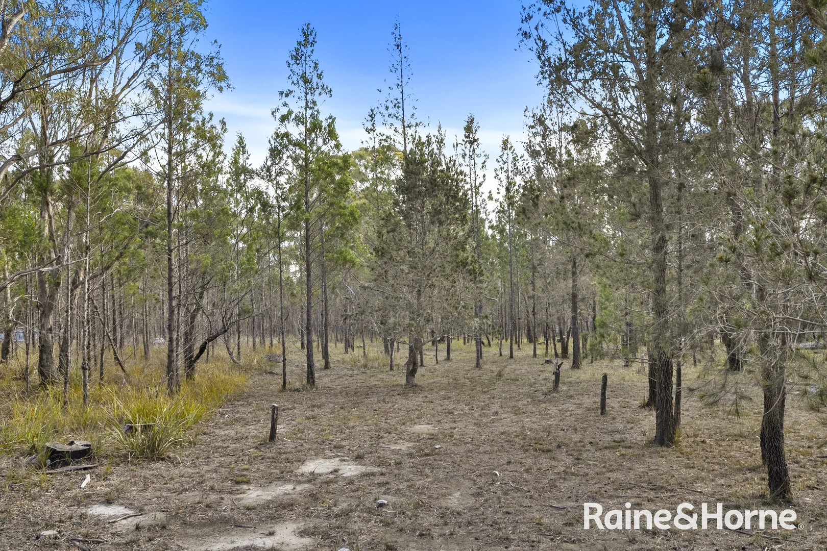 Additional image 8 of Lot 2/10 Elizabeth Street, Pontypool TAS 7190