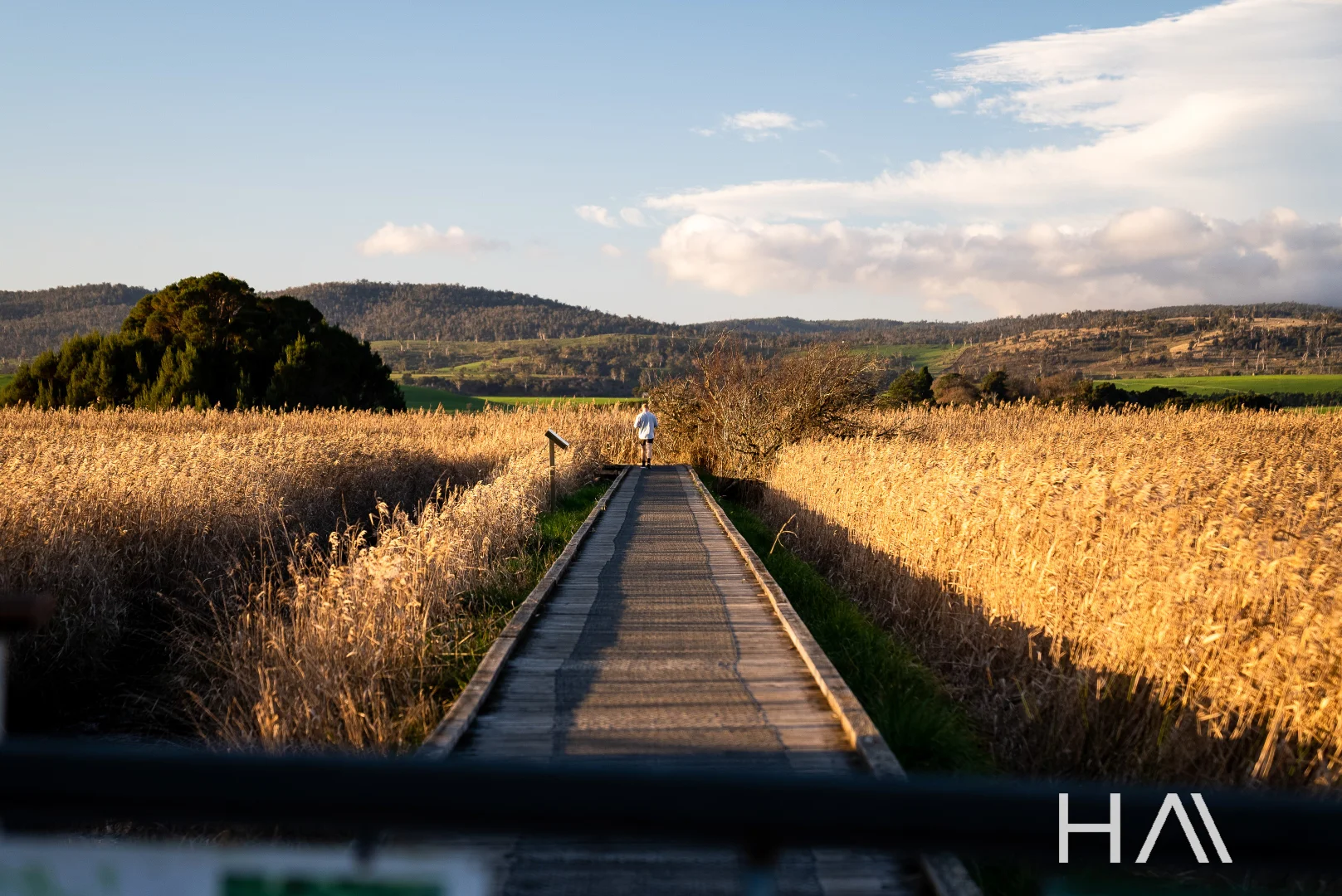 Additional image 12 of 148 Freshwater Point Road, Legana TAS 7277