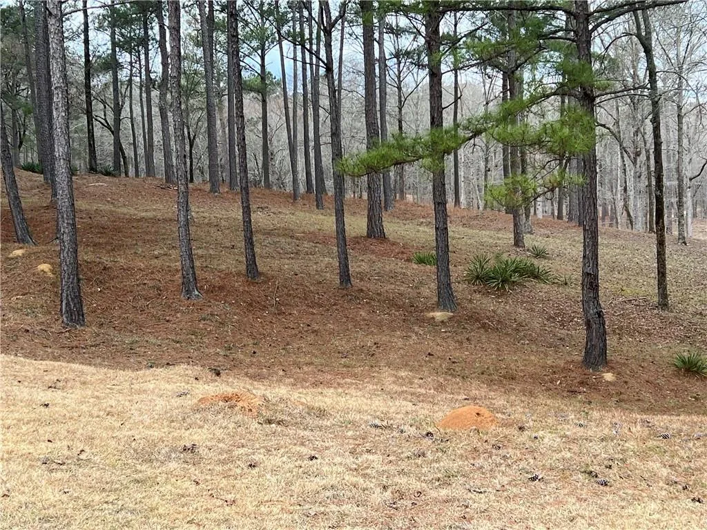 Additional image 7 of Preswick Drive Road, Phenix City, AL 36867