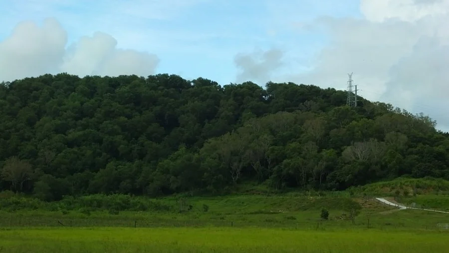 Additional image 11 of 179 Barclays Road, Dumbleton QLD 4740