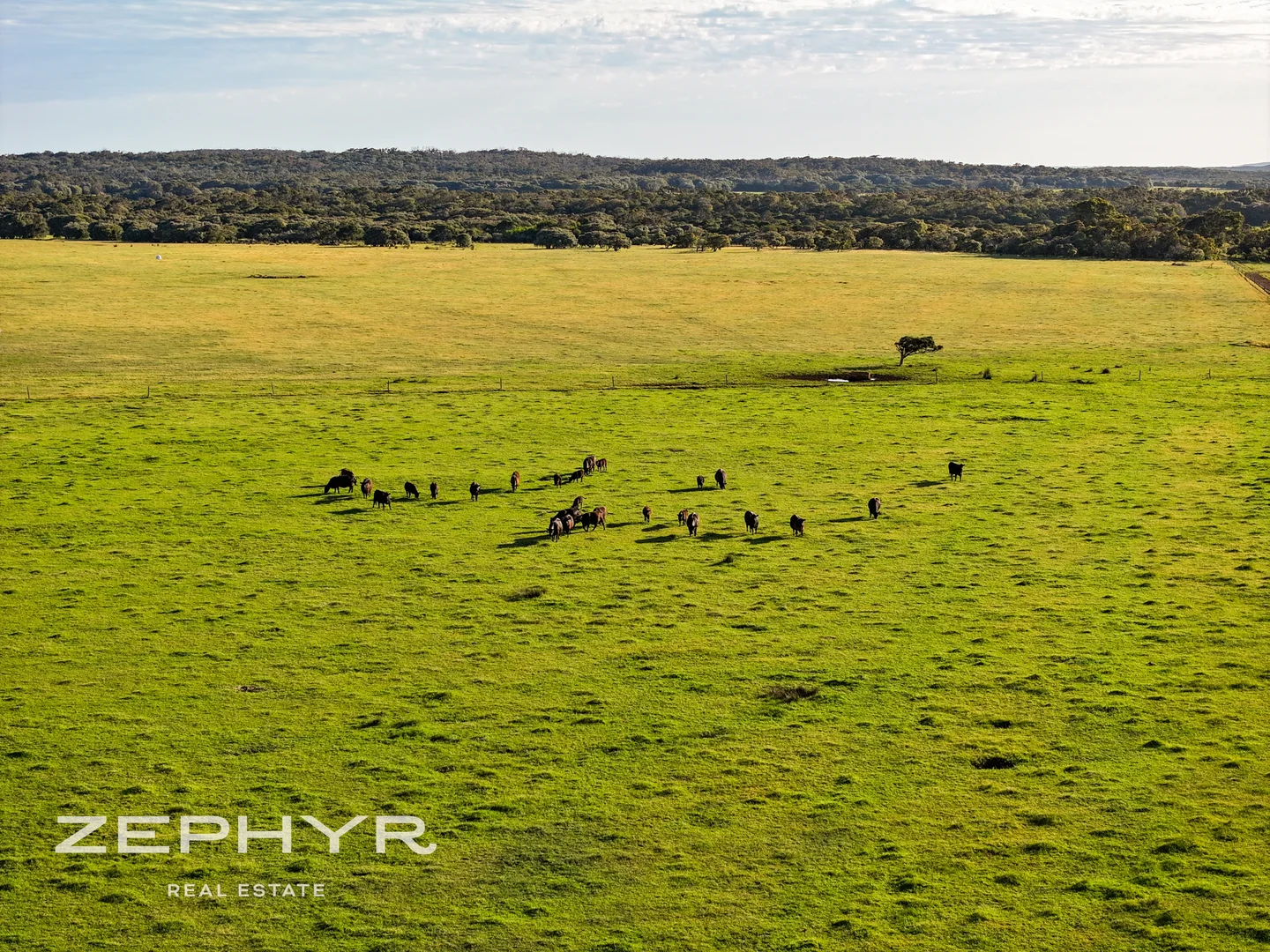 Additional image 17 of Scott River Road, Scott River WA 6288
