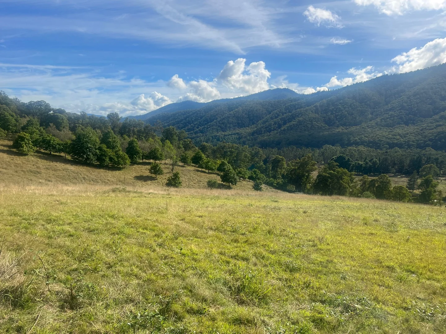 Additional image 19 of Great Alpine Road, Smoko VIC 3741