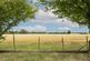 Additional image 12 of Peters Green, Hertfordshire