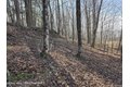 Additional image 12 of Timber Dr Lot 10, Cochecton, NY, 12726
