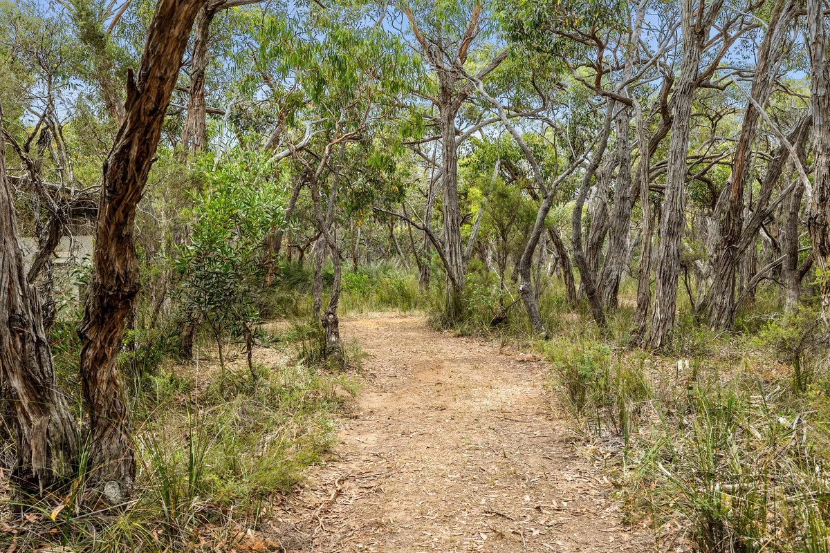 Additional image 26 of 335 Elkington Road, Bellbrae VIC 3228