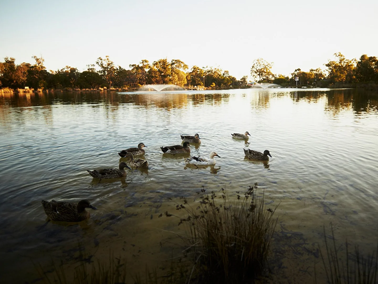 Additional image 8 of Lot 309 Lakewood Parkway, Coodanup WA 6210