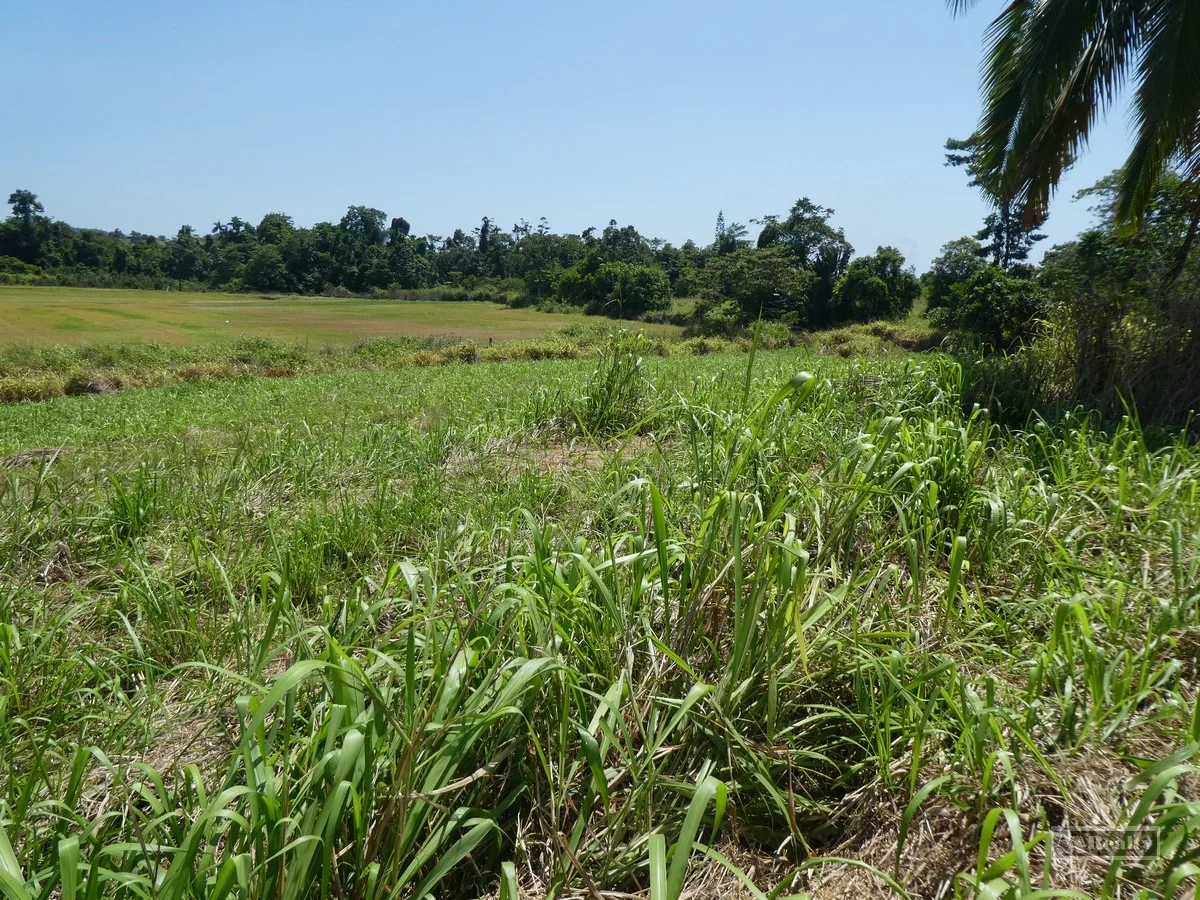 Additional image 3 of Mena Creek QLD 4871