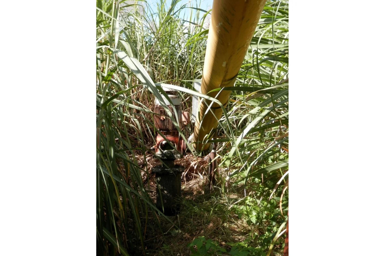 Additional image 15 of 52 Linton Road, Fredericksfield QLD 4806