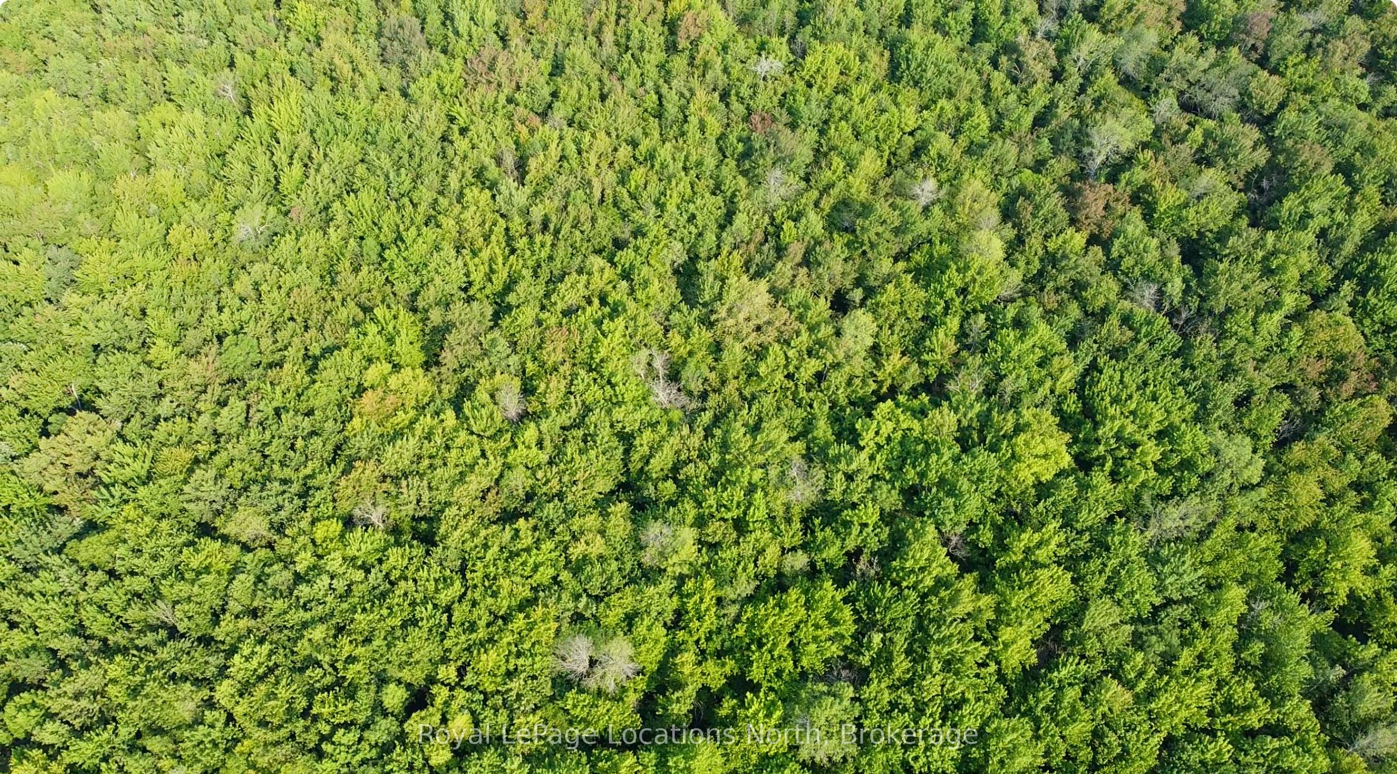 Additional image 5 of Lot 5 26 Highway, Meaford, ON, N4K 5W4