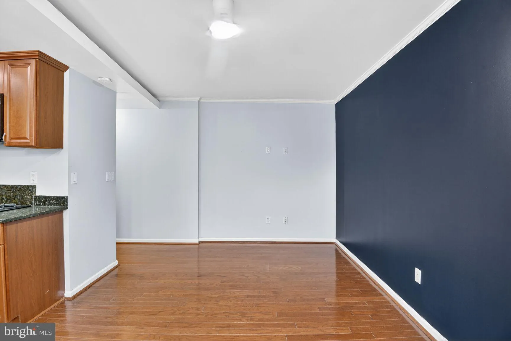 Additional image 19 of 1364 Constitution Avenue NE, Washington, DC 20002