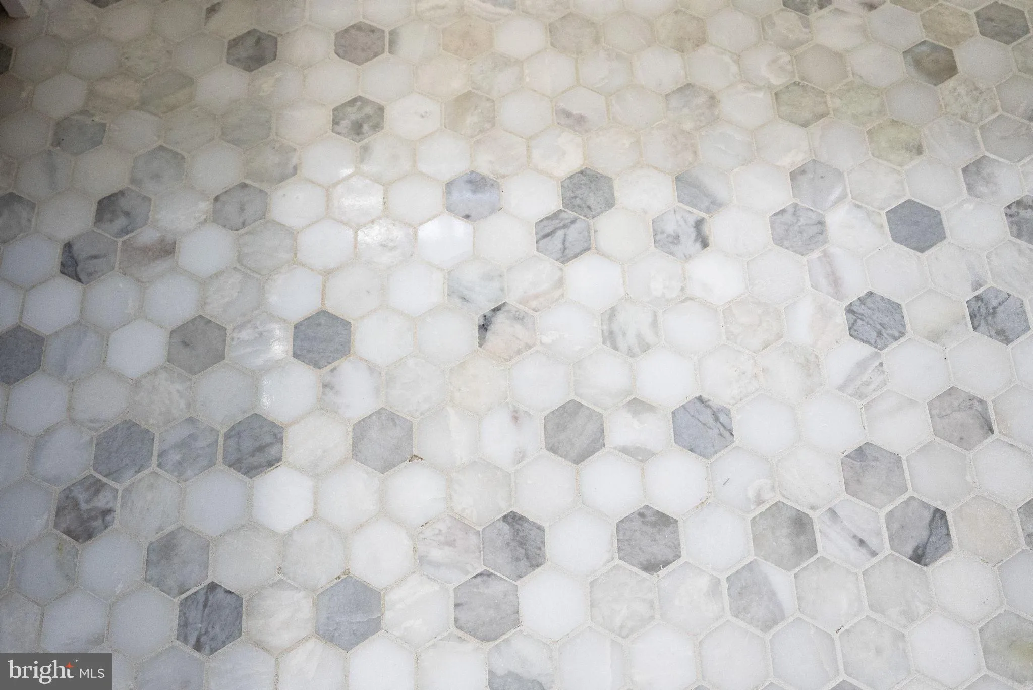 Additional image 51 of 2707 Adams Mill Road NW Unit 308, Washington, DC 20009