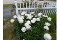 Additional image 4 of 17 Keryn Ct, Northbridge, MA, 01588