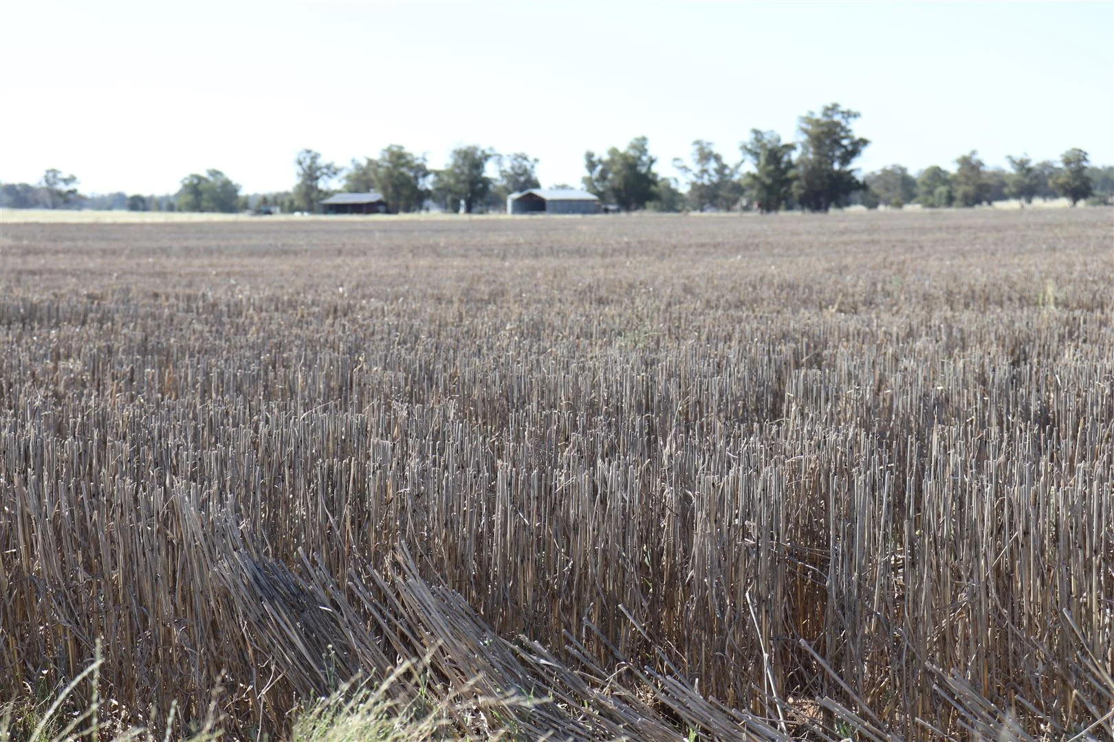 Additional image 31 of Parkes NSW 2870