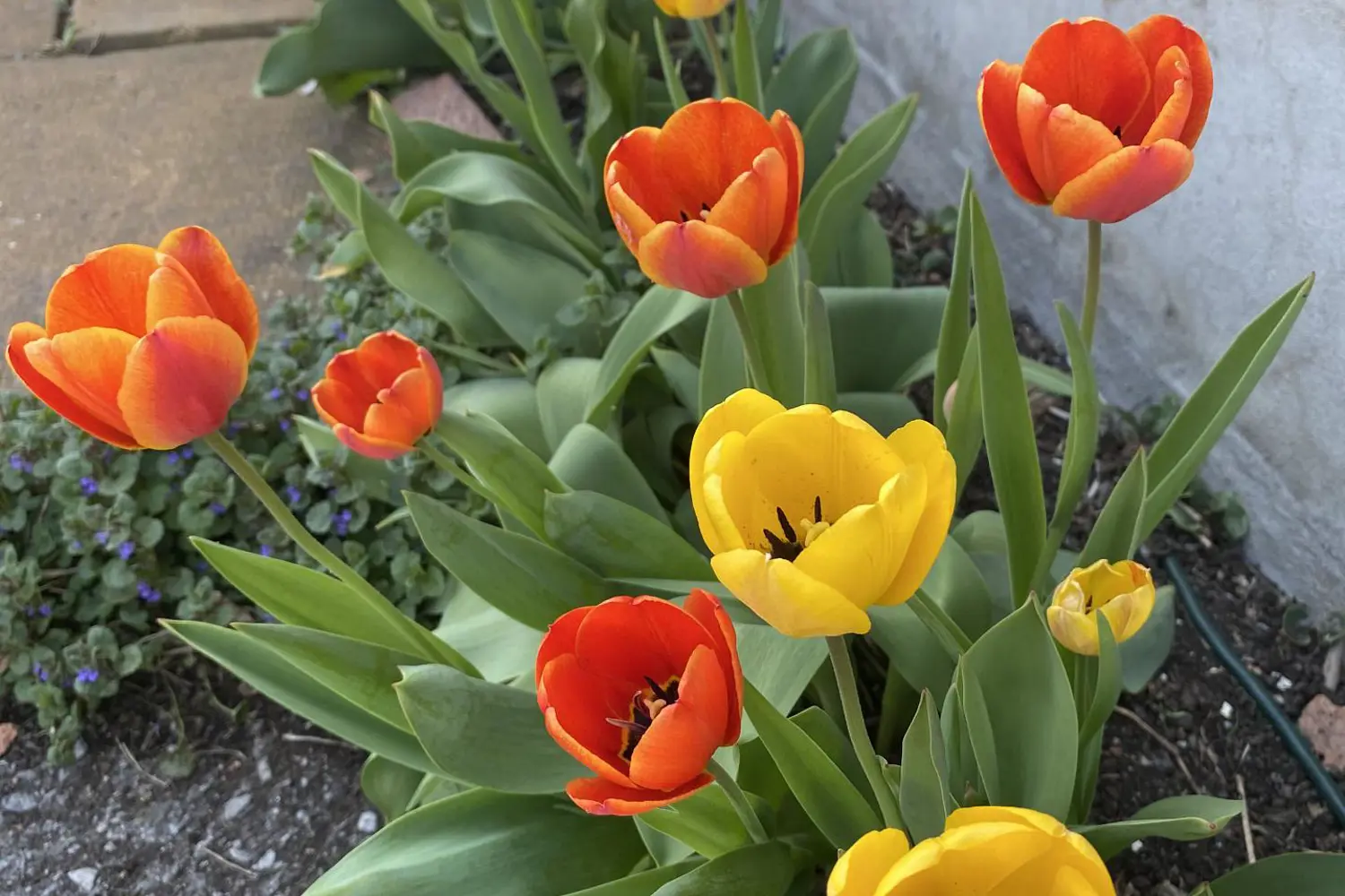 Additional image 10 of 3264 Johnston Avenue