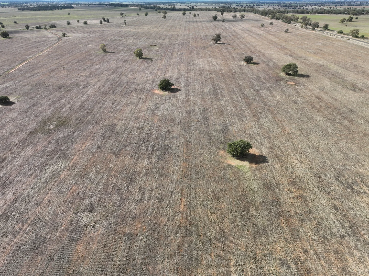 Additional image 33 of 'Weemala' 2075 The McGrane Way, Tullamore NSW 2874