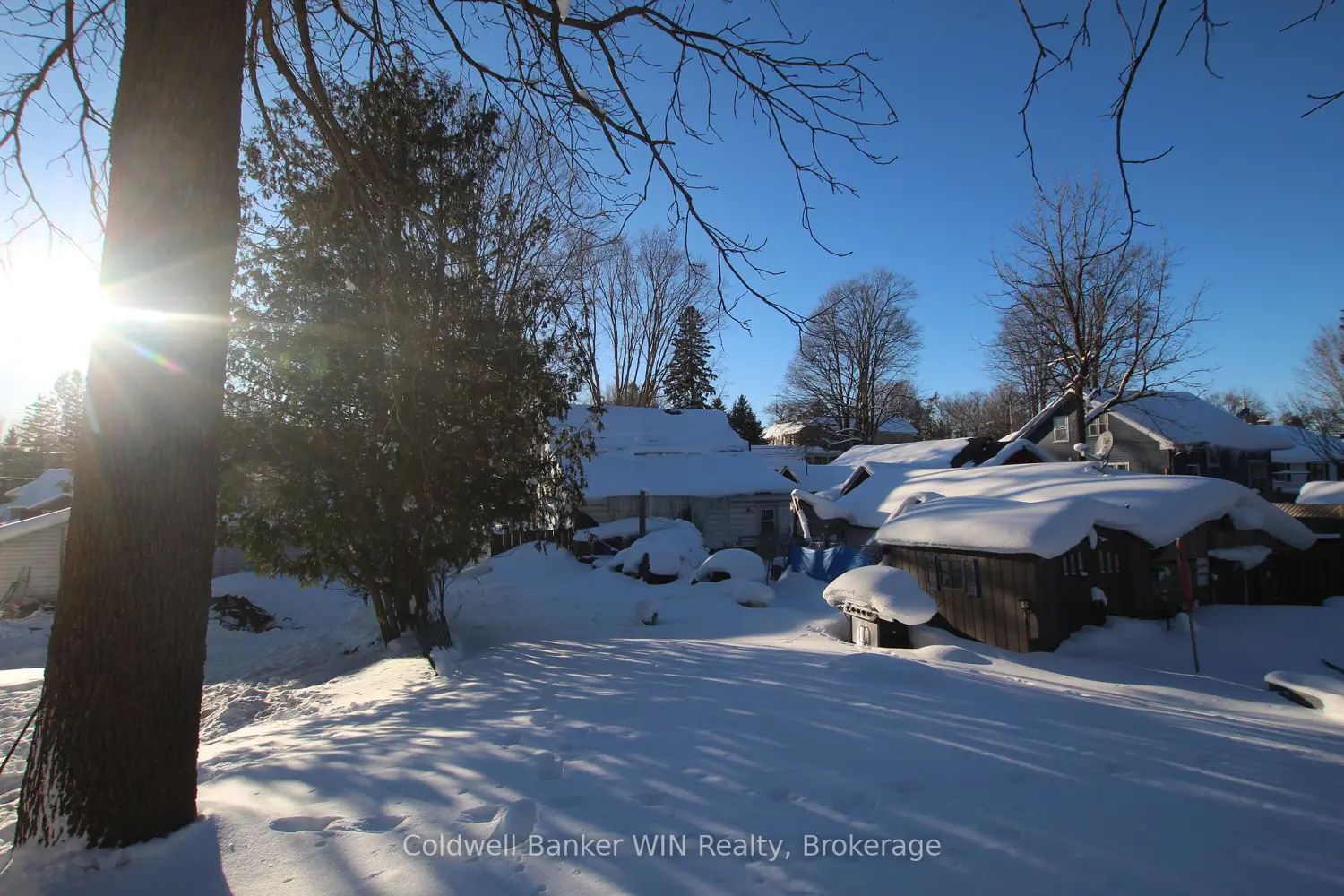 Additional image 6 of 283 Albert Street