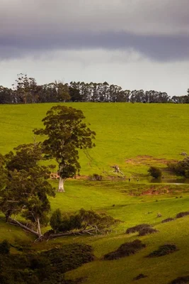 Additional image 33 of 129 Pump Hill Road, Channybearup WA 6260